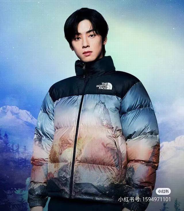 The North Face2024韩国专柜冬季新品 限量款1996羽绒服日照金山 迷雾森林 90白鸭 1：原版一比一设计利灵感采用暗夜森林 日照金山满印全身，